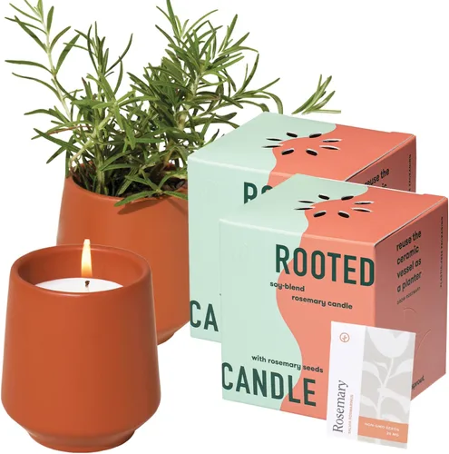 Vista 20 de Modern Sprout Maceta de vela de soja, crece albahaca, aroma a albahaca