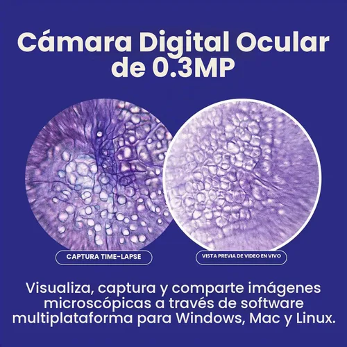 Vista 5 de AmScope Serie B120 Microscopio compuesto binocular LED para estudiantes y profesionales - Aumento 40X a 2500X - Incluye cámara USB 2.0 de 0.3MP