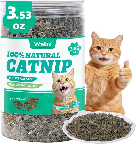Vista 8 de Wellix Hierba gatera fresca para gatos, hojas secas naturales, flores y tallos, aroma fresco, utilizado como golosinas o juguetes recargables