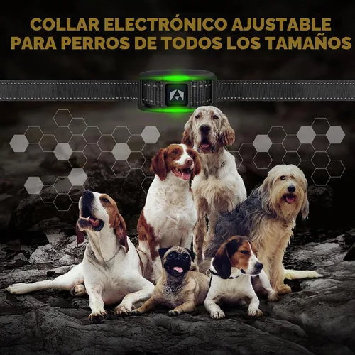 Vista 7 de INVIROX Collar de entrenamiento para perros edición 2026 con mando a Negro