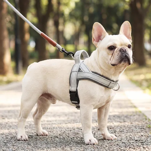 Vista 8 de Arnés para perro sin tirones con asa, chaleco reflectante ajustable para Corgi, arnés para mascotas acolchado con malla de aire transpirable