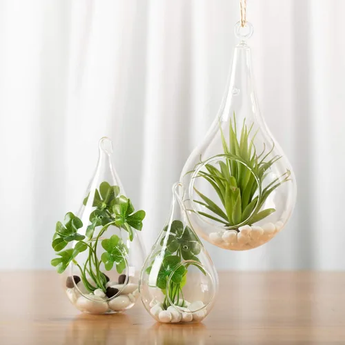 Vista 7 de WGV - Planta colgante de vidrio terrario a granel, ancho 3.5 pulgadas, altura 7 pulgadas, lágrima de bricolaje, maceta de aire para suculentas, luz