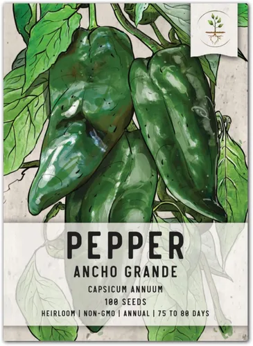Vista 98 de Seed Needs - Semillas de pimiento arcoíris para plantar verduras, 1 paquete