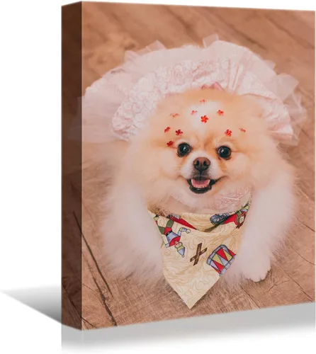 Vista 24 de Laoife Pintura en Lienzo Personalizada 30x30 cm Sube Imágenes, Impresiones en Lienzo Personalizadas con tus Fotos, Regalos Personalizados de Niños