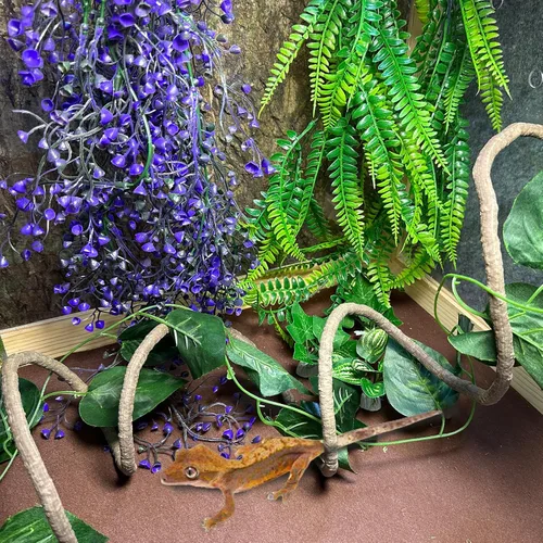 Vista 7 de Hamaca de dragón barbudo, plataforma para tomar el sol, reptil, plantas artificiales, hojas y vides, decoración de hábitat de lagarto, accesorios