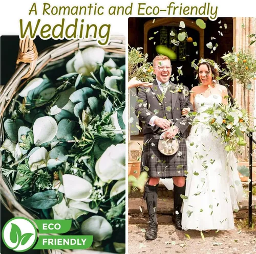 Vista 5 de Más de 1600 hojas de eucalipto reales preservadas pequeñas, eucalipto natural puro a granel, confeti de hojas de boda para aniversarios, cumpleaños