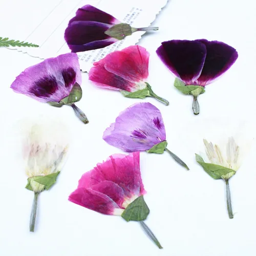 Vista 3 de 48 piezas de flores secas prensadas para manualidades, resina, bricolaje, flores naturales secas y epoxi, flores reales con hojas, plantas