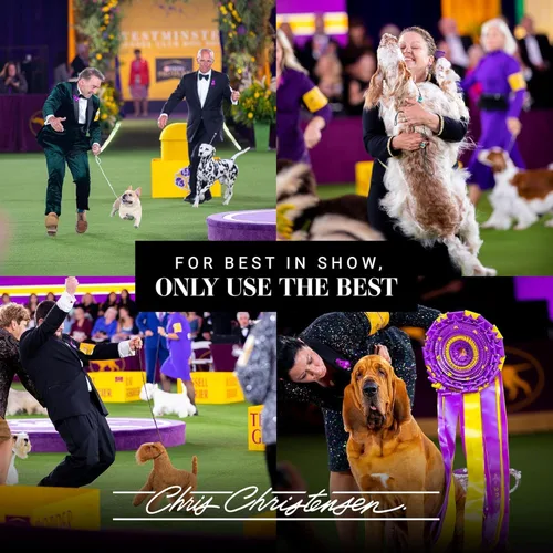 Vista 7 de Chris Christensen SmartWash50 - Champú para perros ultra concentrado blanqueador e iluminador, hace hasta 50 botellas, prepara como un profesional