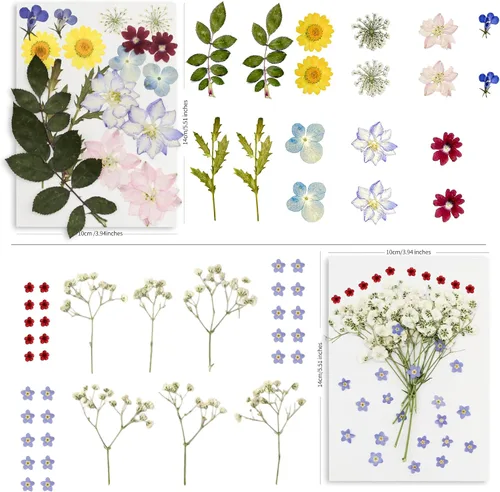 Vista 5 de 95PCS flores secas prensadas para manualidades con pinzas y bolígrafo de pegamento