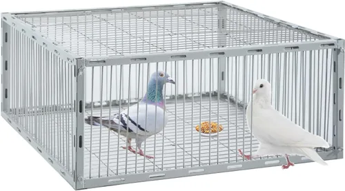 Vista 10 de Trampa para palomas con diseño a prueba de fugas, trampa para pájaros con entrada unidireccional, jaula para pollos y aves para palomas, portátil