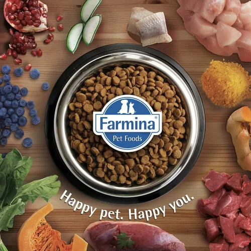 Vista 6 de Farmina, Perro de pollo de bajo grano natural y delicioso, 26.4 libras, mediano