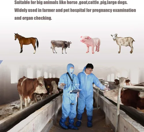 Vista 8 de DAWEI - Máquina de ultrasonido veterinaria para embarazo, escáner portátil de mano para veterinarios, ultrasonido B ligero con sonda impermeable