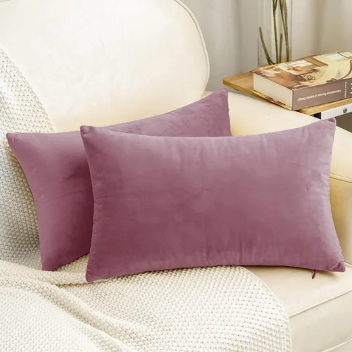 Vista 66 de HWY 50 fundas de almohada decorativas de terciopelo sólido para sofá, sala de estar., Terciopelo, gris, 20x20 pulgadas