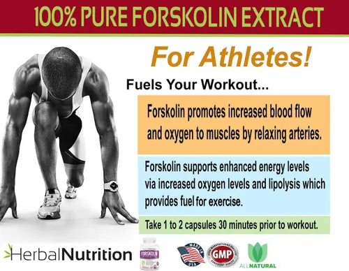 Vista 3 de Herbal Nutrition Forskolina para bajar de peso, 250 mg-500 mg de fuerza máxima forskolina paquete de dos botellas de 90 unidades, extracto del 20%