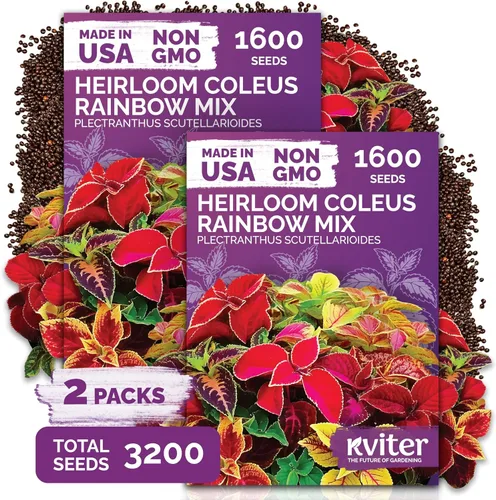 Vista 22 de KVITER Mezcla de 100 semillas de calabaza pequeñas (Cucurbita Pepo), paquete de 2 – Calabazas ornamentales de otoño, sin OGM – Semillas de reliquia
