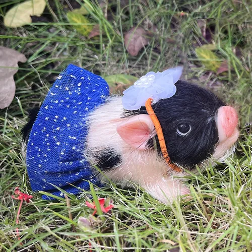 Vista 4 de OtardDolls Reborn Piggy Dolls, 5 pulgadas de silicona completa suave realista mini muñecas de cerdo, mini muñecas de cerdo realistas recién nacidos