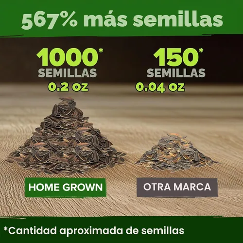 Vista 3 de HOME GROWN Envy Zinnia Seeds, 1000 Semillas, Zinnia elegans