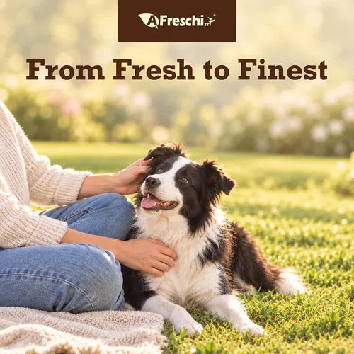 Vista 8 de A Freschi srl® - Golosinas de pollo para perros, filete de pollo totalmente