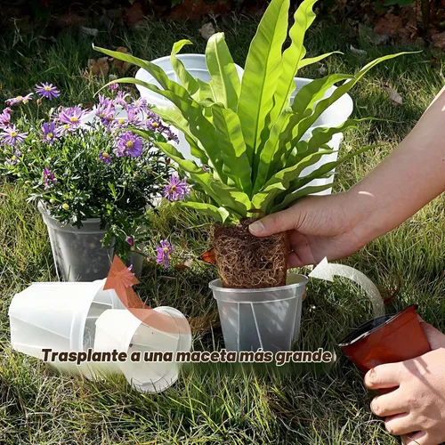 Vista 3 de Paquete de 30 macetas transparentes para vivero con drenaje de 6 tamaños