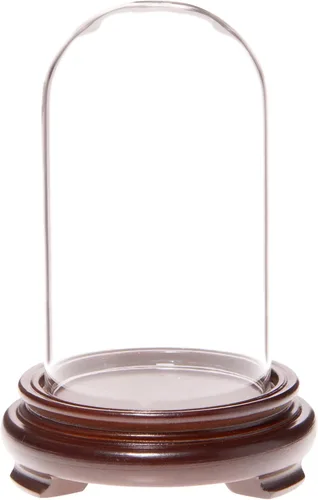 Vista 3 de Plymor Cúpula de cristal de 2.5 x 4.5 pulgadas (base con patas de chapa de madera negra)