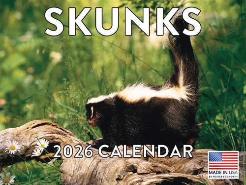 Vista 112 de Calendario mensual de pared de alpaca 2025 Fabricado en Estados Unidos