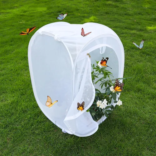 Vista 3 de Jaula desplegable para insectos y mariposas con terrario de malla transparente, 16 x 16 x 24 pulgadas