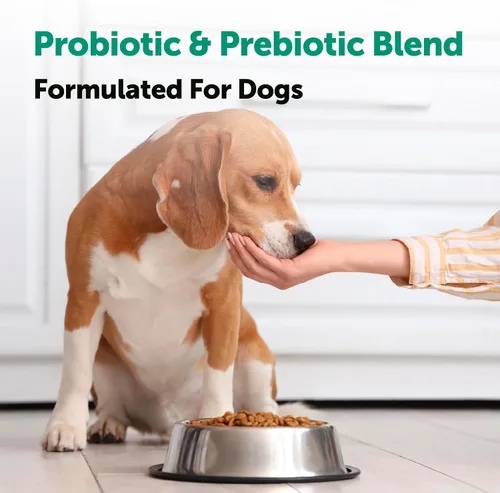Vista 4 de Micro Ingredients Probióticos para perros, 240 masticables blandos Masticables probióticos diarios para la salud digestiva para perros