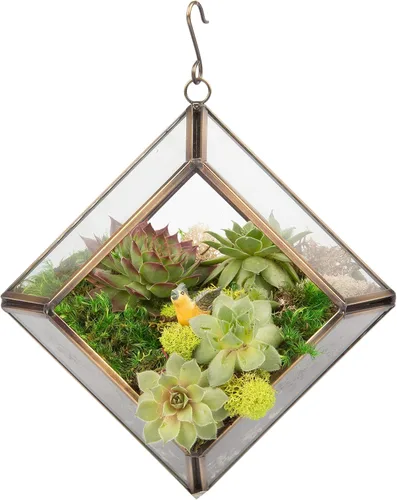 Vista 5 de D'Eco Glass - Mini exhibición de diamantes (5 x 5 x 3.5 pulgadas), terrario para macetas colgantes, decoración de primavera y Pascua, hogar y boda