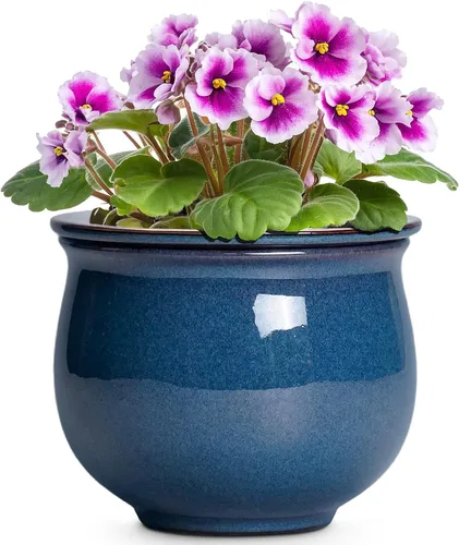 Vista 11 de Macetas de riego automático de 6 pulgadas para plantas de interior, macetas de cerámica violeta africana con maceta interior absorbente, maceta