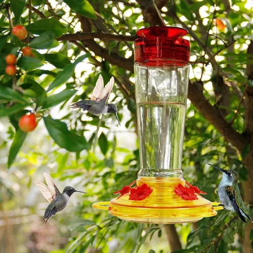 Vista 5 de Shrdaepe Comedero para colibríes, comedero para pájaros con botella de vidrio, 5 puertos de alimentación (rojo y amarillo)