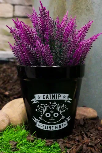 Vista 6 de Ebros Gift Wicca Brujería Gótica Magia Maceta de Cerámica Negra, Contenedor Floral Alquímico Oculto, Jardinera para Alquimista, Florero, Pulgar