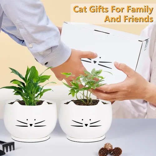 Vista 7 de Koolkatkoo Juego de 2 macetas de cerámica para gatos de 6 pulgadas con agujero de drenaje y platillo para plantas de interior y exterior, grande