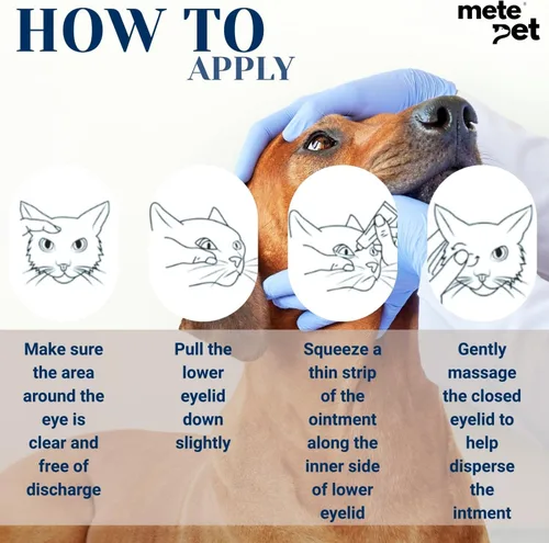 Vista 6 de Vetromycin pomada oftálmica para mascotas para perros y gatos 1/8 oz /5gr, 1 tubo - Cuidado ocular diario suave, aplicación tópica fácil