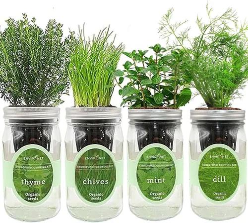 Vista 8 de Kit de cultivo de hierbas hidropónicas, tarro de masón de riego automático, kit de inicio de jardín de hierbas para interiores, cultiva 4 tipos de 2