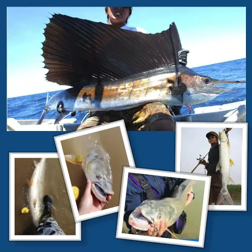 Vista 5 de 20 piezas de rodamientos de bolas giratorios aparejos de pesca a presión giratorios de pesca de barril de agua salada, clips de pesca, clips