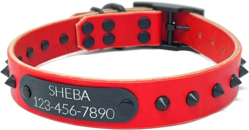 Vista 6 de Personalized Spiked Bridle Leather Dog Collar, Engraved Matte Black Metal Nameplate (Mustard Yellow)