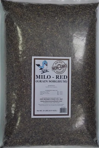 Vista 3 de Milo Rojo (Sorgmo de Grano) (8)