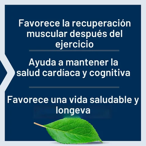 Vista 4 de Life Extension Taurina, suplemento de aminoácidos de taurina pura, salud del corazón, hígado y cerebro, longevidad, músculo y ejercicio, dosis