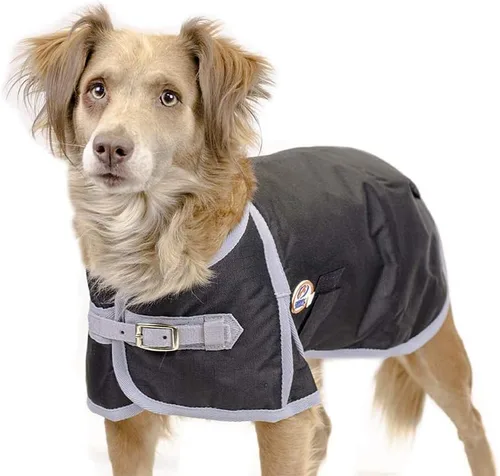 Vista 4 de Derby Originals chubasquero para perro de 600 deniers, L