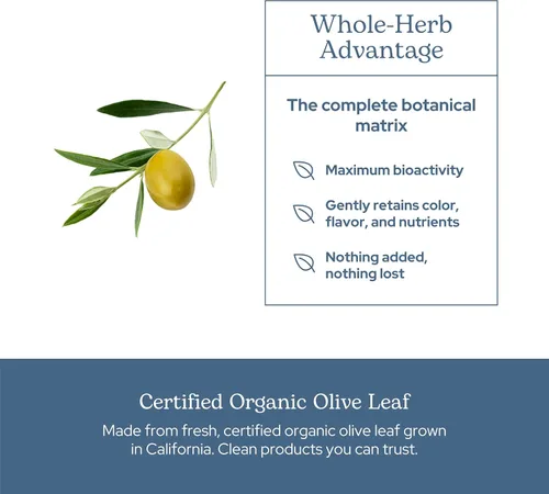 Vista 5 de Eclectic Herb - Cápsulas orgánicas de hoja de olivo Apoyo del sistema inmunológico Suplemento de hierbas Liofilizado, natural, sin OMG