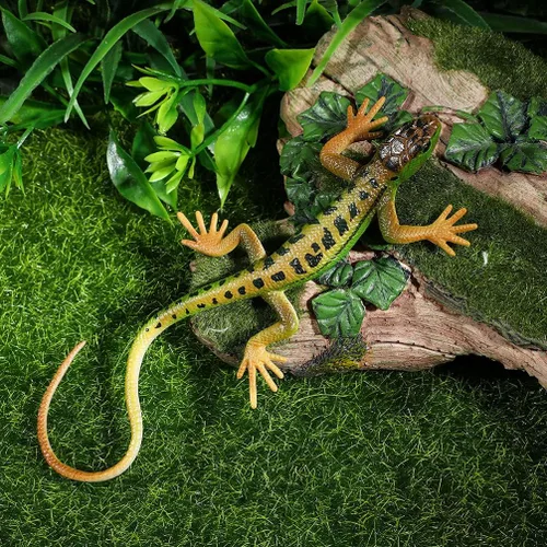 Vista 3 de NUOBESTY Figura de lagarto falso de juguete de plástico de lagarto figura de acción de reptil juguete para colección ciencia educativo (verde)