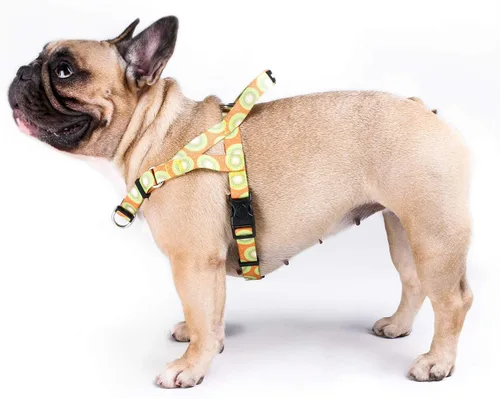 Vista 42 de iChoue Arnés para bulldog francés, ajustable, acolchado, hebilla bloqueada con asa para perros carlino francés, Boston Terrier inglés, azul, talla S
