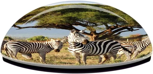 Vista 3 de Kenia Masai Mara Zebras Safari Frigorífico Imán 3D Cristal Turístico Ciudad Viaje Recuerdo Colección Regalo Fuerte Etiqueta Adhesiva Refrigerador