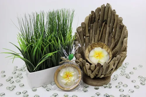 Vista 3 de Plumeria Candle In Coconut Shell crafted by Hands