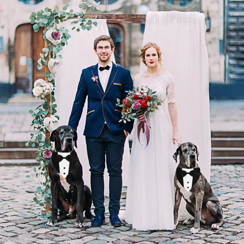 Vista 5 de GOYOSWA Traje de esmoquin para perro, collar bandana de boda con corbatín, esmoquin formal ajustable para perro, esmoquin de cumpleaños