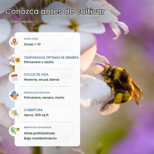Vista 5 de Mezcla de semillas de flores silvestres Bee & Butterfly, 30,000 semillas