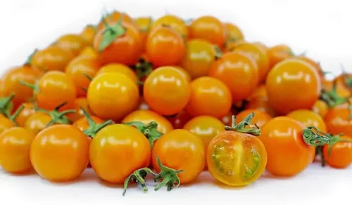 Vista 2 de 100 semillas de tomate micro enano con sombrero naranja, semillas de reliquia sin OMG