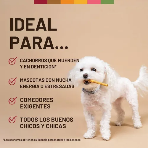 Vista 6 de Earth Animal No Hide Stix - Palitos masticables sin cuero de larga duración para perros pequeños, sabor a carne de res - Paquete de valor de 20