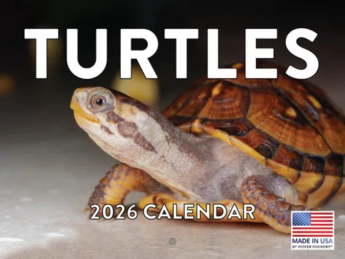 Vista 101 de Calendario mensual de pared de alpaca 2025 Fabricado en Estados Unidos