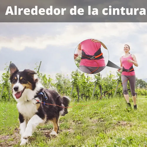 Vista 8 de [Usado] Correa de cable resistente para perros grandes
